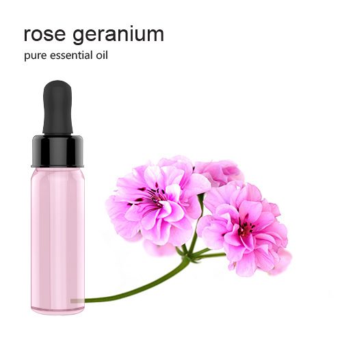 Pure Essential Oil - Rose Geranium Essential Oil 精油