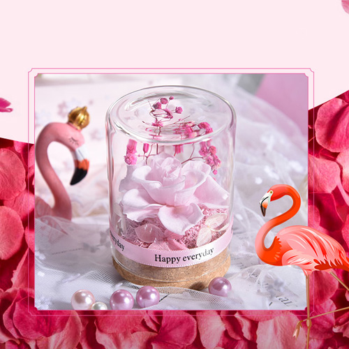 Preserved Flower in Glass Display Case 永生花