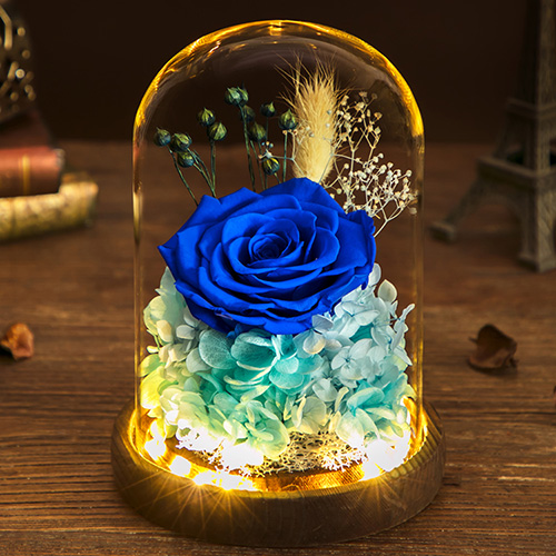Preserved-Flower-Light-Glass-Cover-Blue-2