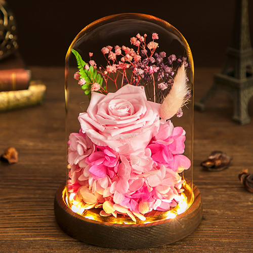 Preserved-Flower-Light-Glass-Cover-Pink-8