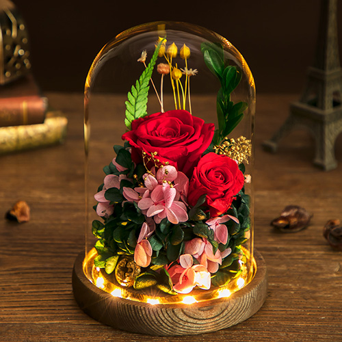 Preserved-Flower-Light-Glass-Cover-Red-3